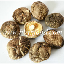 Top Quality Factory Price 5-5.5cm Dried Smooth Shiitake Mushroom